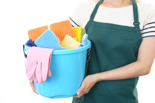 Professional pet stain odour removal in a Surbiton living room