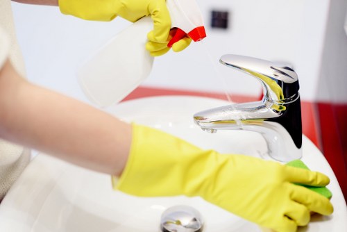 Cleaner treating a carpet surface during a professional cleaning service