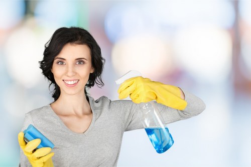 Low-carbon van used for eco-friendly carpet cleaning services