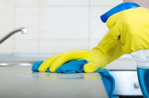 Close-up of professional carpet cleaning tools and cleaning solution