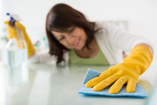 Team member carrying out a carpet cleaning risk assessment